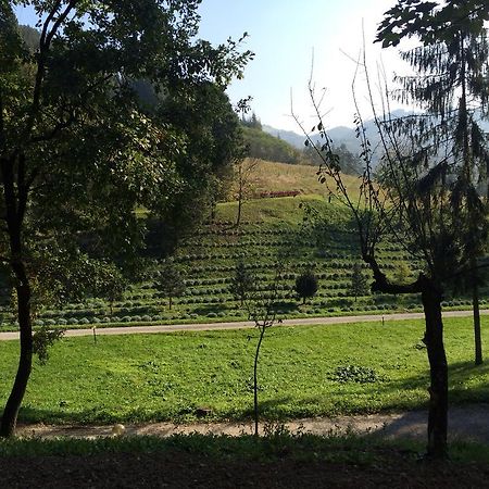 Casa Di Otello Monte San Giovanni  Dış mekan fotoğraf