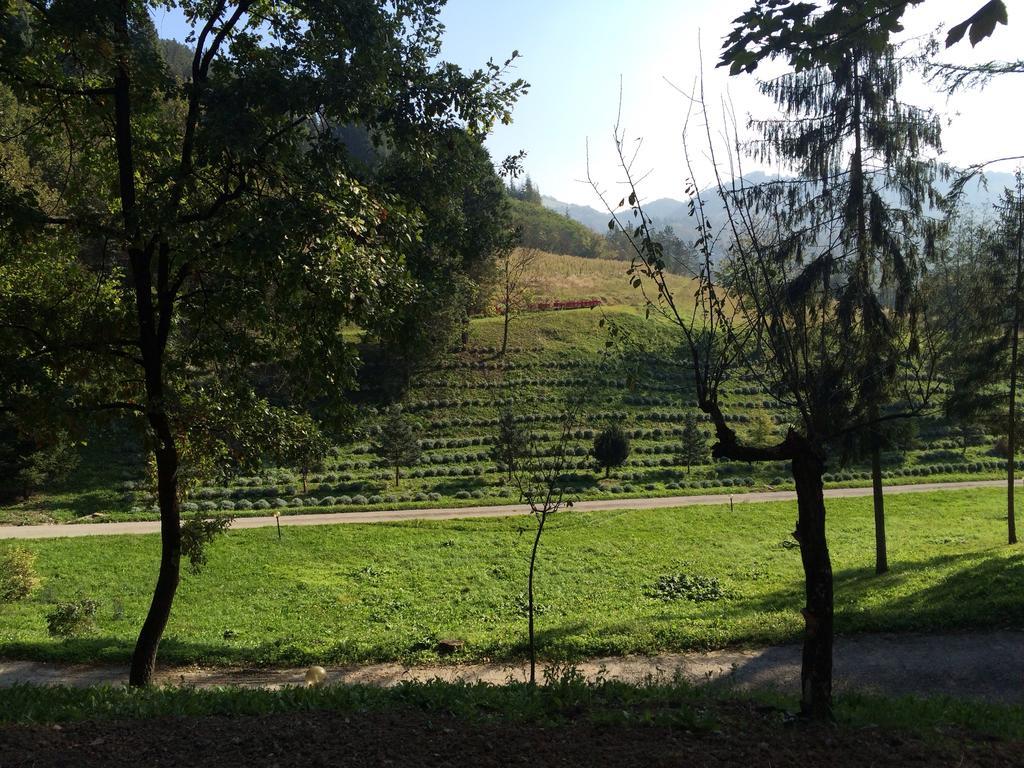 Casa Di Otello Monte San Giovanni  Dış mekan fotoğraf